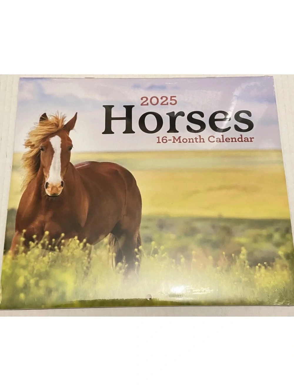 2025 Horses 16-Month Wall Calendar 11 x 10 Inches Sealed New.